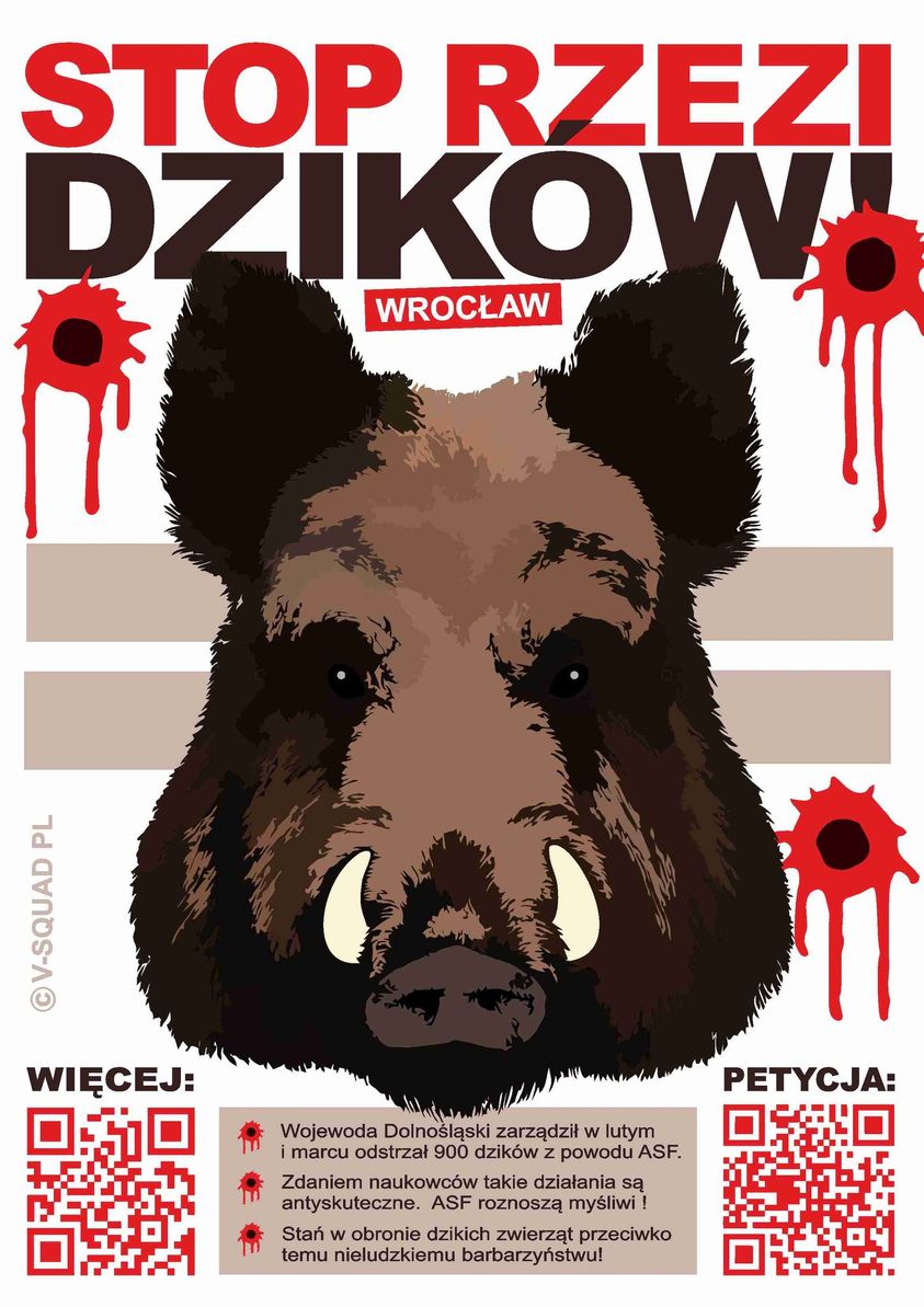 STOP rzezi dzików!